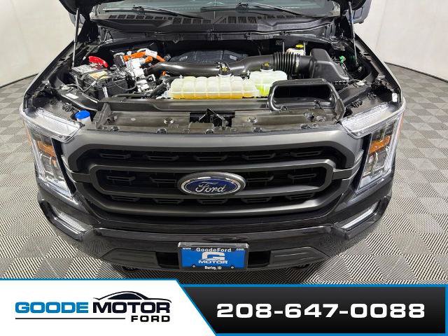 Certified 2023 Ford F150 XLT w/ Equipment Group 302A High AWD/4WD image 26