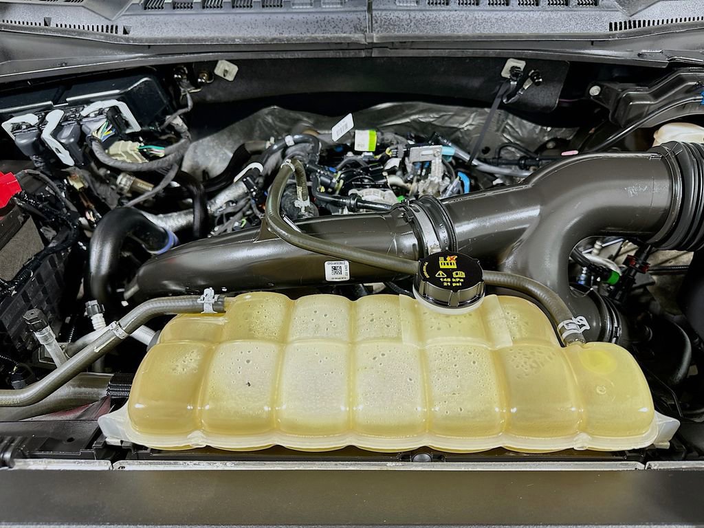 Certified 2019 Ford F150 XLT w/ Equipment Group 302A Luxury image 13