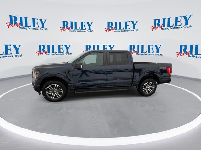 Certified 2023 Ford F150 XL w/ STX Appearance Package image 3