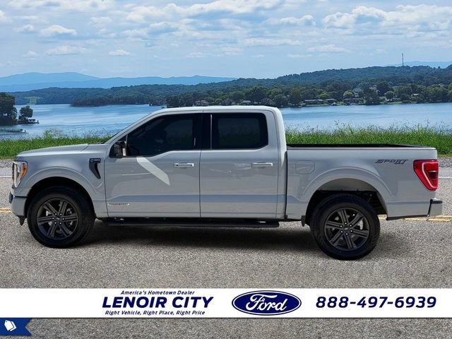 Certified 2023 Ford F150 XLT w/ Equipment Group 302A High AWD/4WD image 6