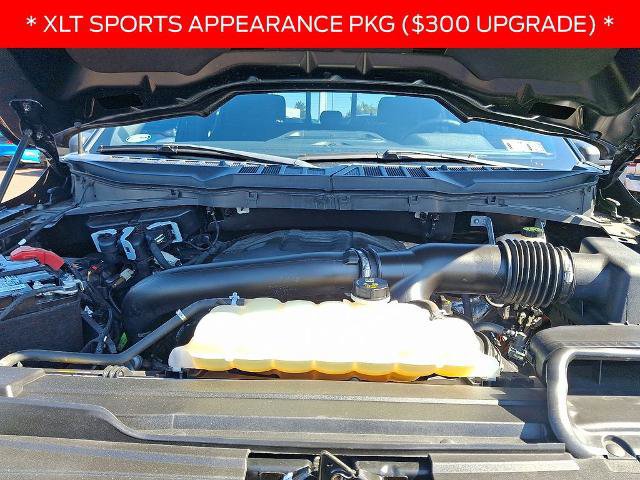 Certified 2022 Ford F150 XLT w/ Equipment Group 302A High image 27