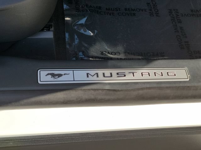 Certified 2023 Ford Mustang Mach-E Premium w/ Mustang Nite Pony Package RWD image 15