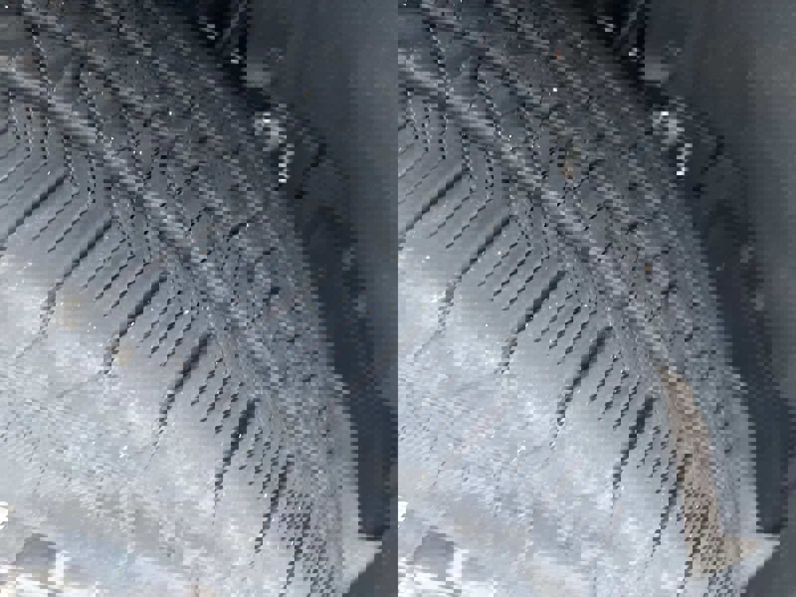 Certified 2025 Ford F150 STX w/ Equipment Group 200A image 3