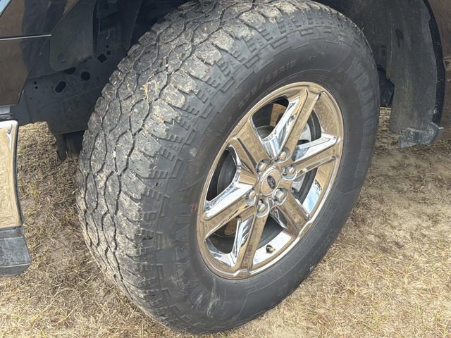 Certified 2025 Ford F150 XLT w/ Equipment Group 301A Standard image 14