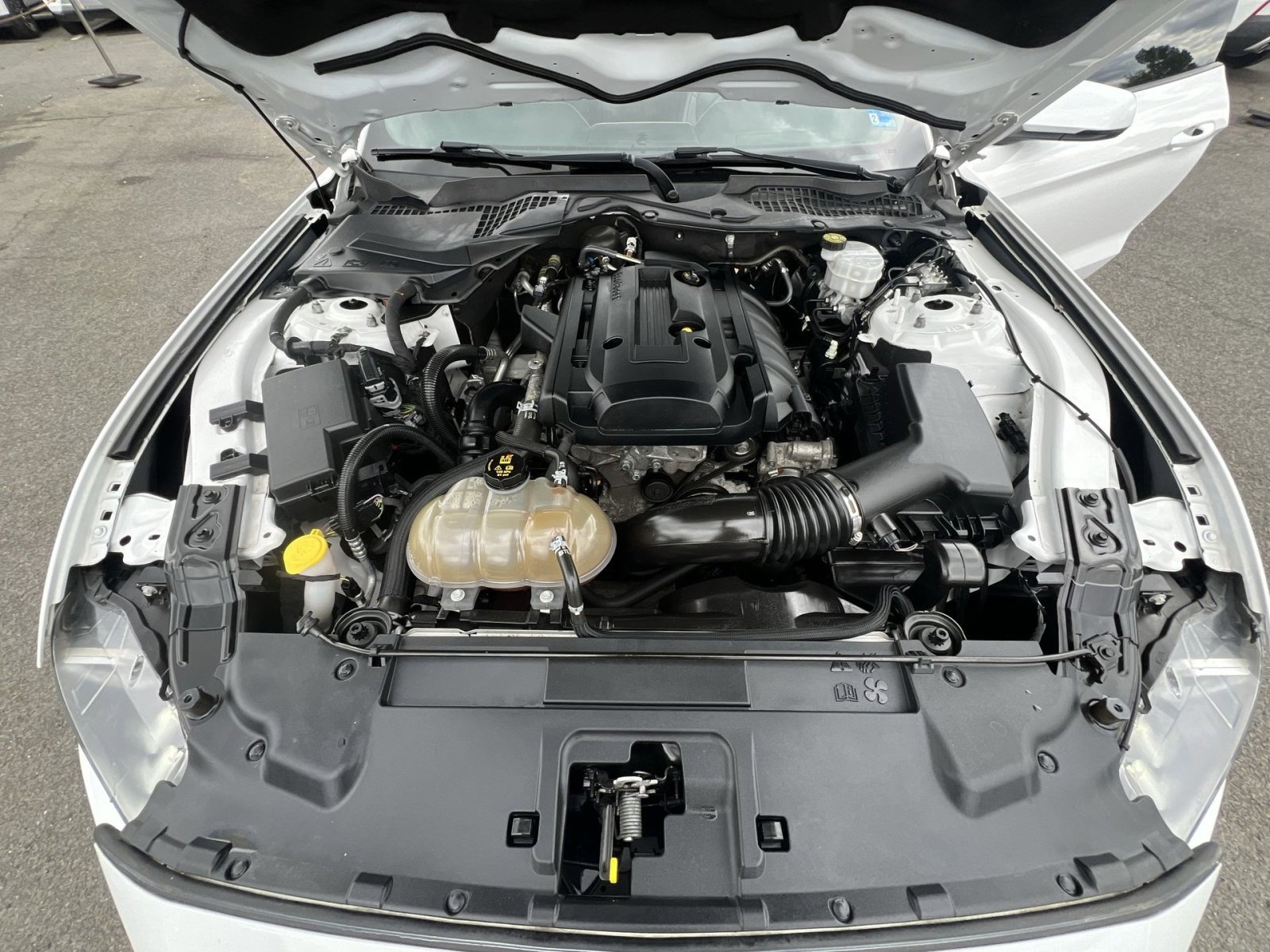 Certified 2019 Ford Mustang Premium w/ Equipment Group 201A RWD image 35