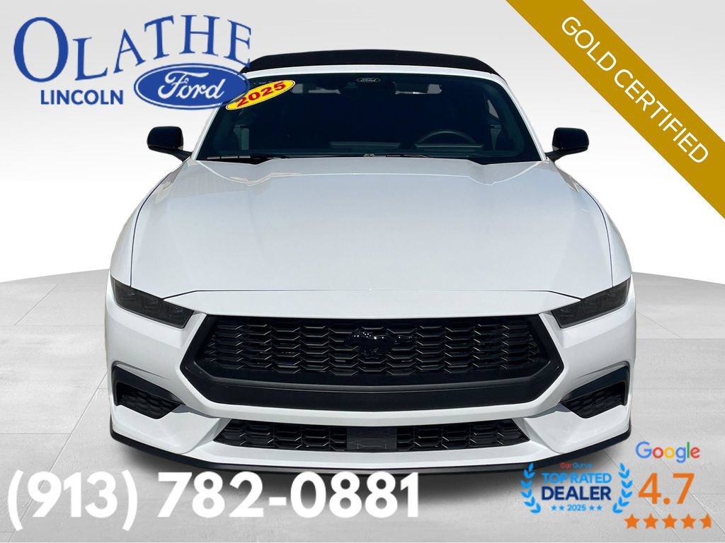 Certified 2025 Ford Mustang Convertible w/ Mustang Nite Pony Package RWD image 9