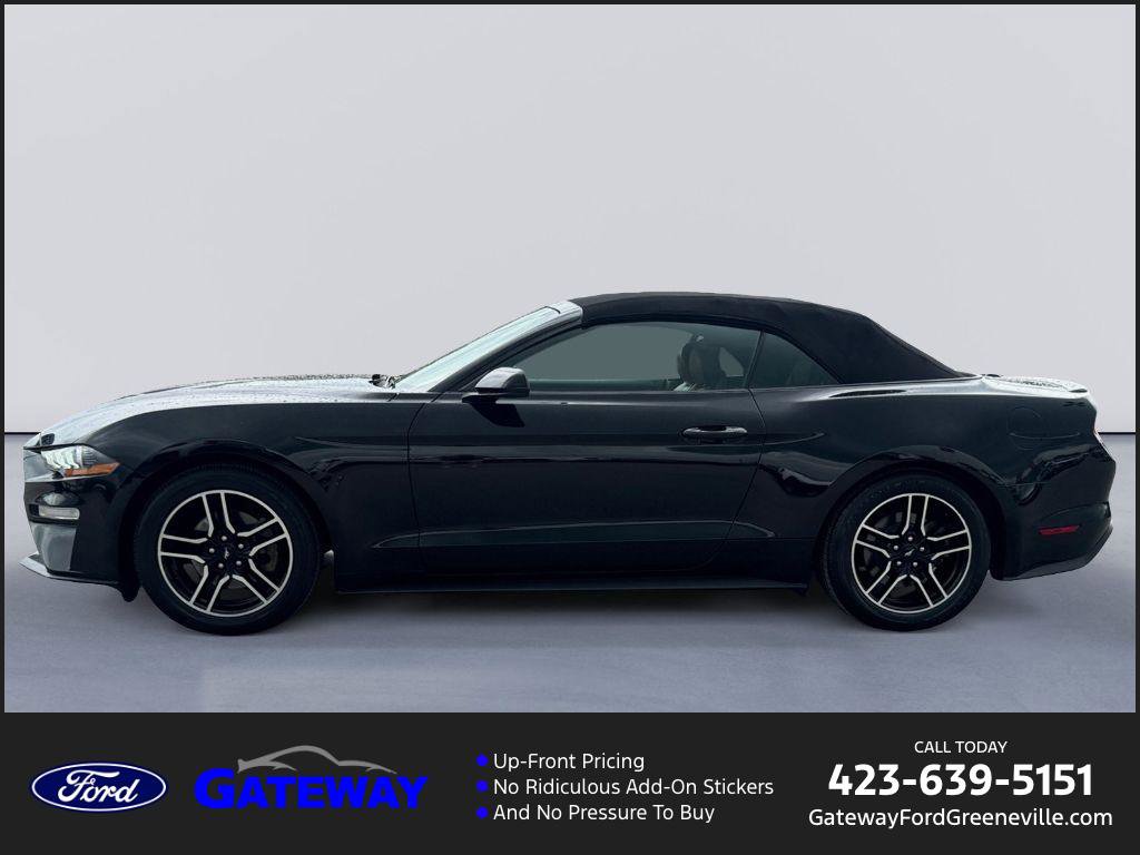Certified 2021 Ford Mustang Premium image 1
