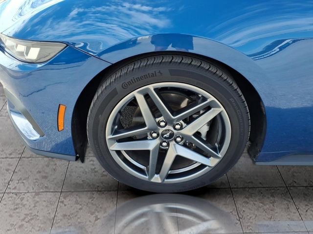 Certified 2024 Ford Mustang EcoBoost image 6