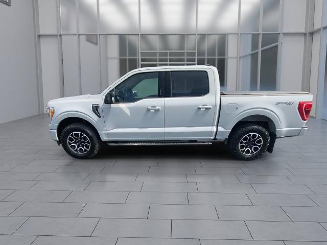 Certified 2023 Ford F150 XLT w/ Equipment Group 302A High AWD/4WD image 6