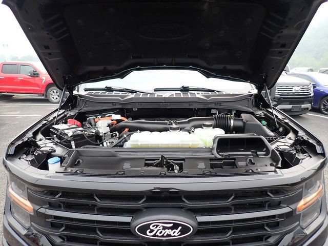 Certified 2025 Ford F150 XLT w/ Equipment Group 302A MID AWD/4WD image 16