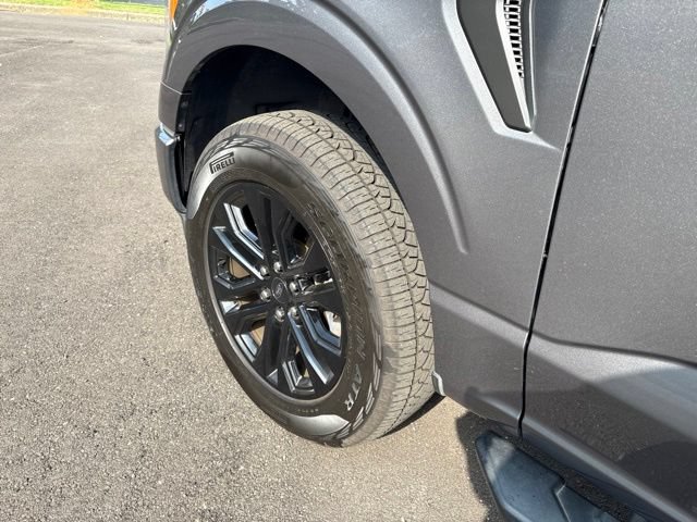 Certified 2021 Ford F150 XLT w/ Equipment Group 302A High AWD/4WD image 4