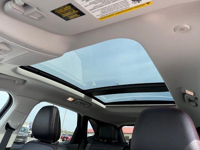 Certified 2022 Ford Escape SEL w/ SEL Stealth AWD Package image 13