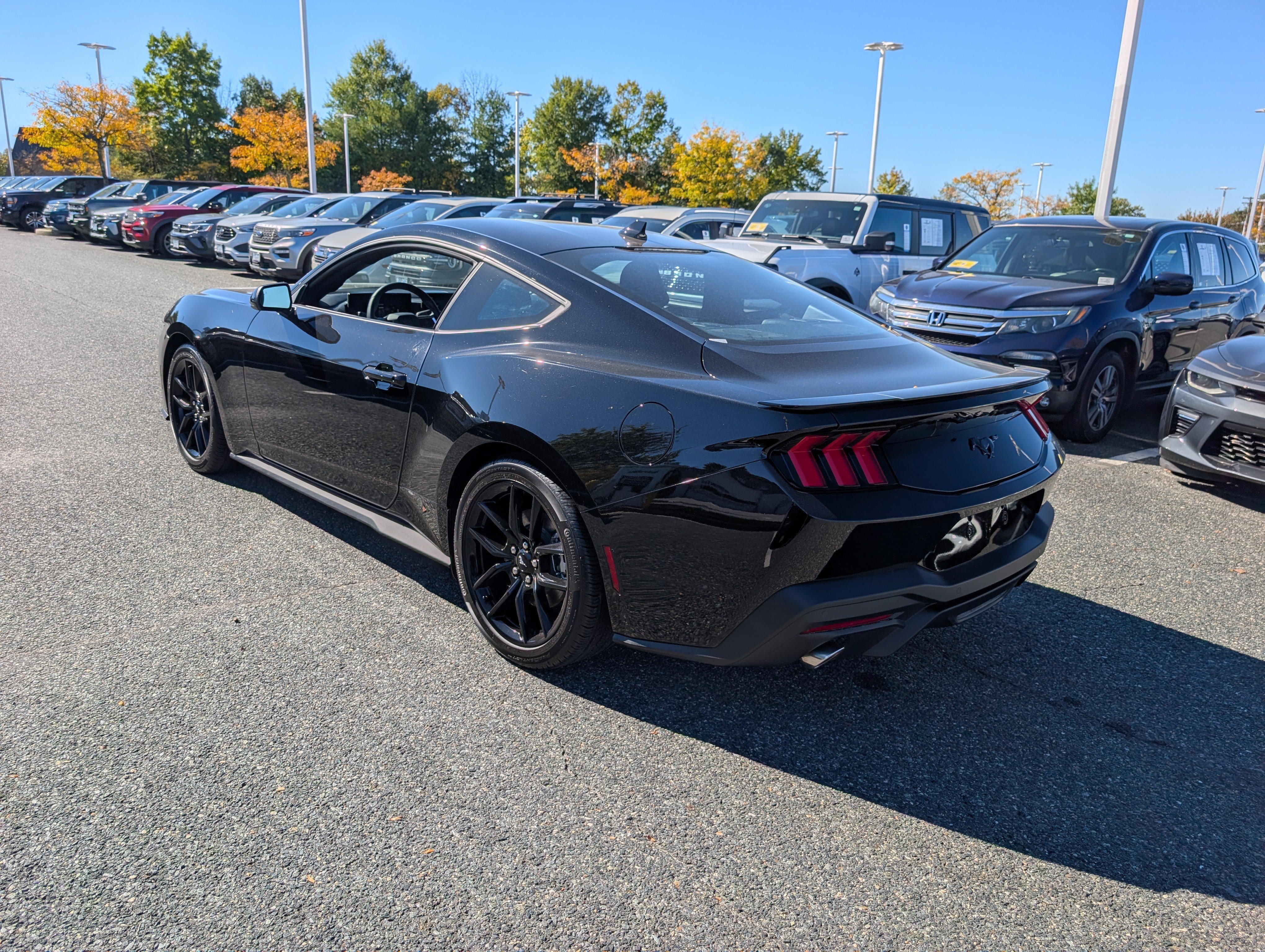 Certified 2026 Ford Mustang Coupe w/ Mustang Nite Pony Package RWD image 6