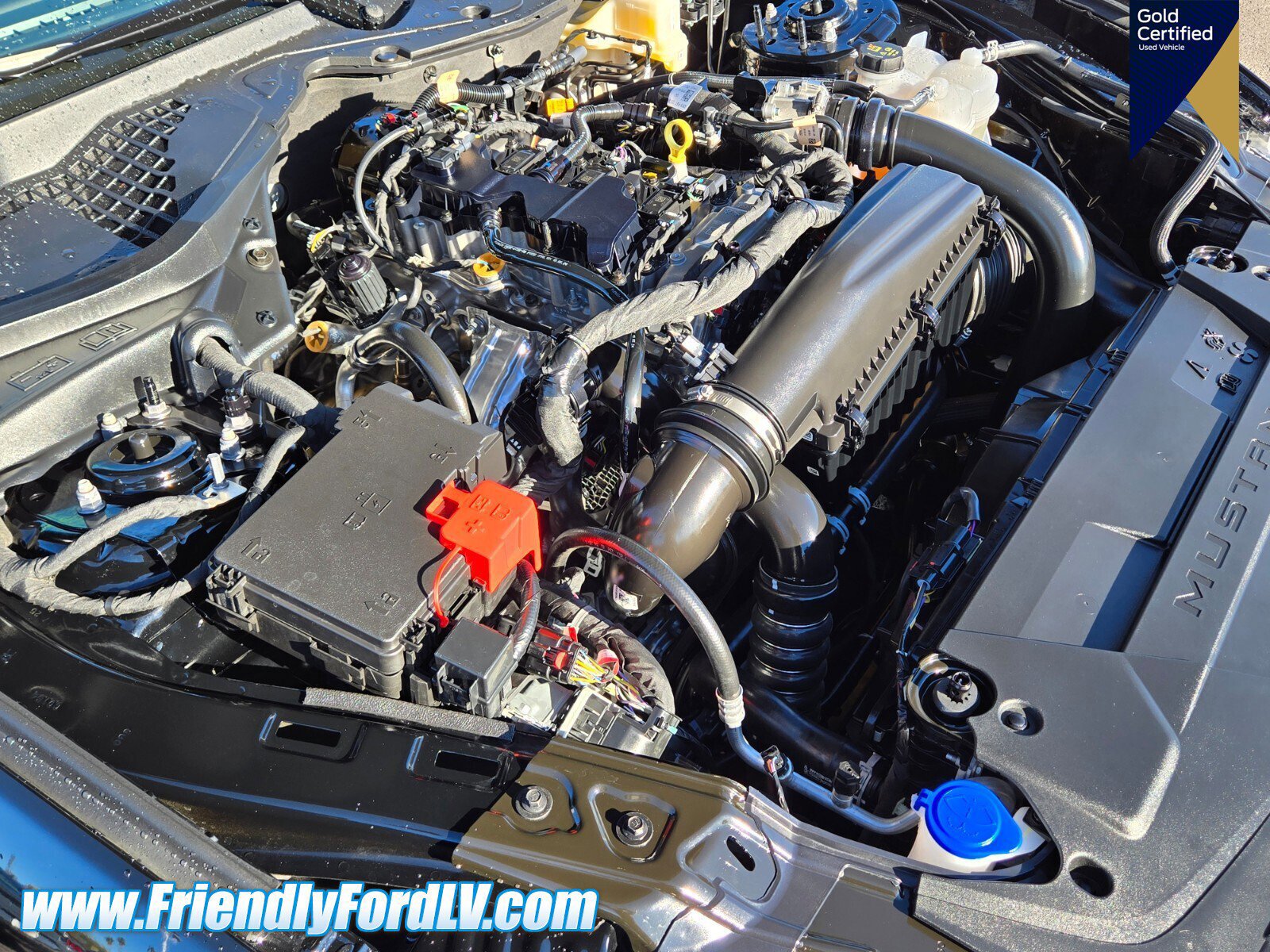 Certified 2025 Ford Mustang Coupe image 16