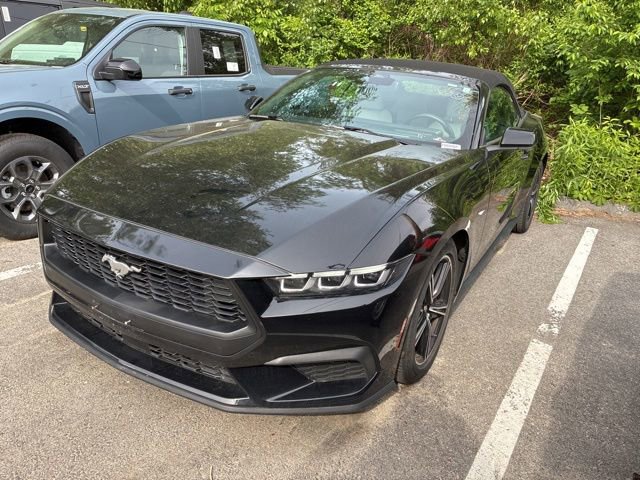 Certified 2024 Ford Mustang Premium RWD image 3
