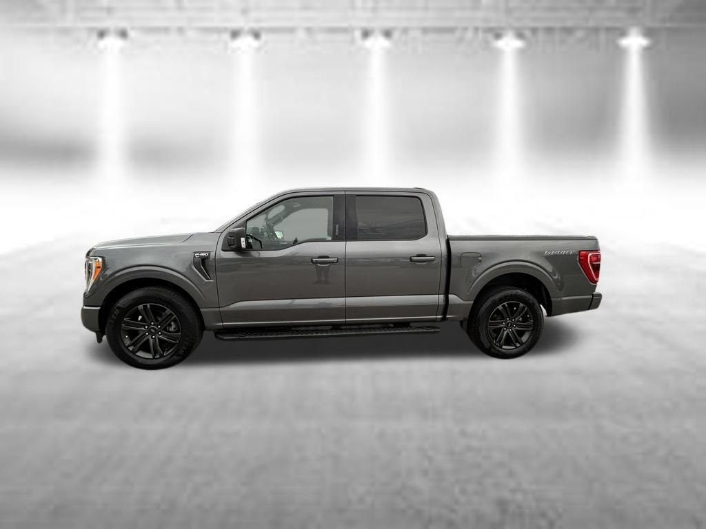 Certified 2022 Ford F150 XLT w/ Equipment Group 302A High RWD image 8