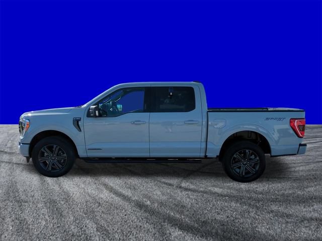 Certified 2023 Ford F150 XLT w/ Equipment Group 302A High image 2