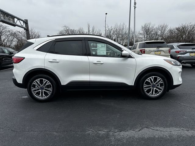 Certified 2022 Ford Escape SEL image 6