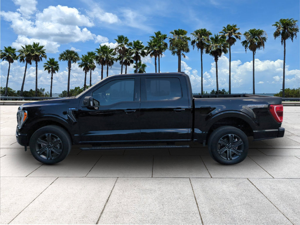 Certified 2023 Ford F150 XLT w/ Equipment Group 302A High AWD/4WD image 4