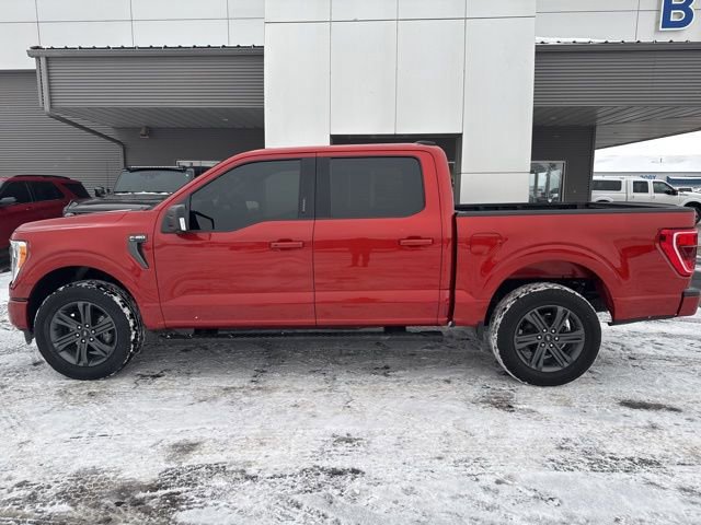 Certified 2023 Ford F150 XLT w/ Equipment Group 302A High image 2