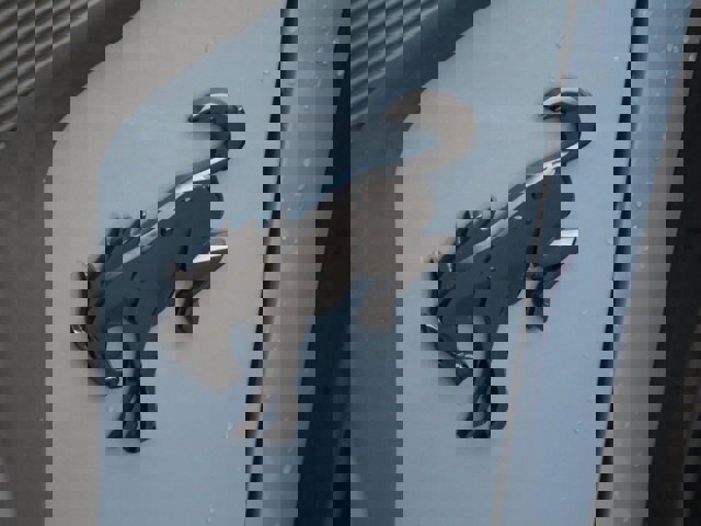 Certified 2024 Ford Bronco Raptor w/ Interior Carbon Fiber Pack 6 image 25