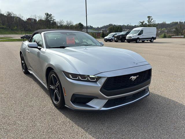 Certified 2024 Ford Mustang Premium image 7