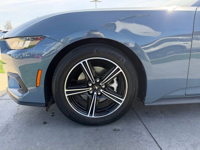 Certified 2024 Ford Mustang EcoBoost image 6