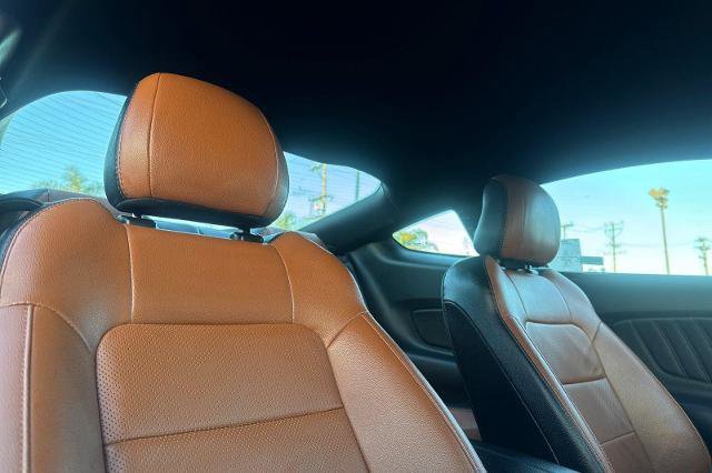 Certified 2021 Ford Mustang GT Premium image 15