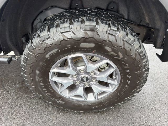 Certified 2025 Ford Bronco Badlands image 12