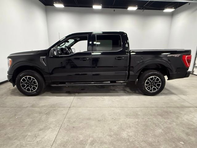 Certified 2023 Ford F150 XLT w/ Equipment Group 302A High AWD/4WD image 8
