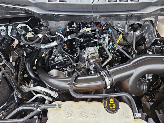 Certified 2024 Ford F150 STX RWD image 23
