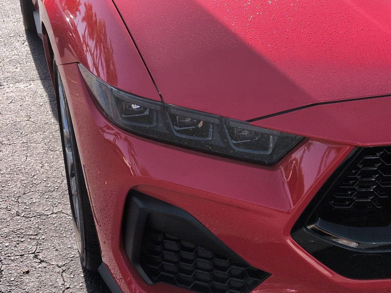 Certified 2025 Ford Mustang GT Premium RWD image 10