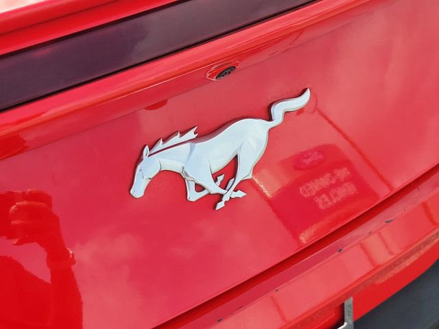 Certified 2024 Ford Mustang Premium RWD image 7
