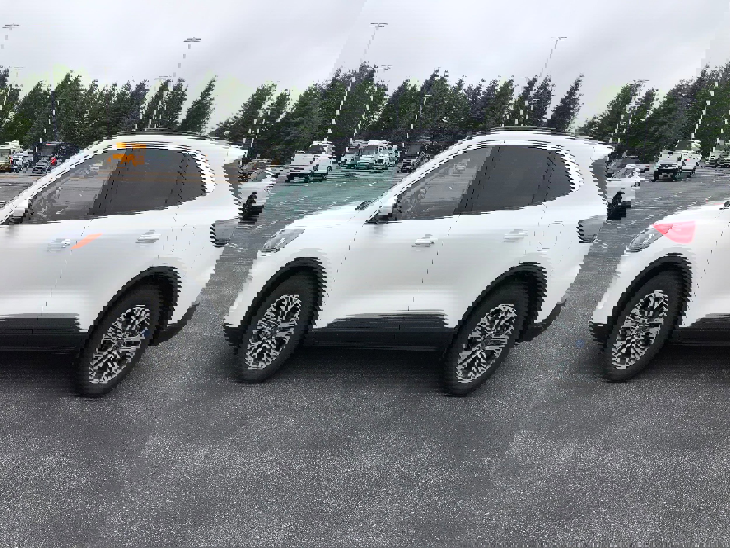 Certified 2022 Ford Escape SEL w/ Technology Package image 4