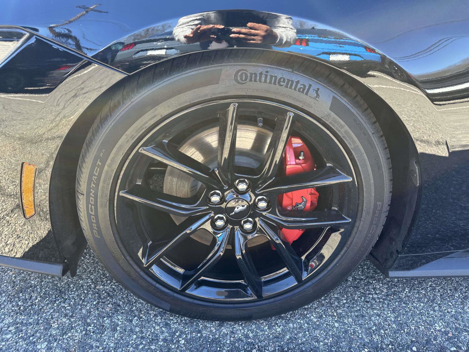 Certified 2025 Ford Mustang GT Premium w/ Mustang Nite Pony Package image 8