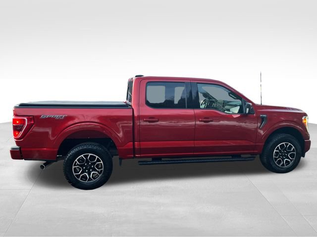 Certified 2023 Ford F150 XLT w/ Equipment Group 302A High AWD/4WD image 6