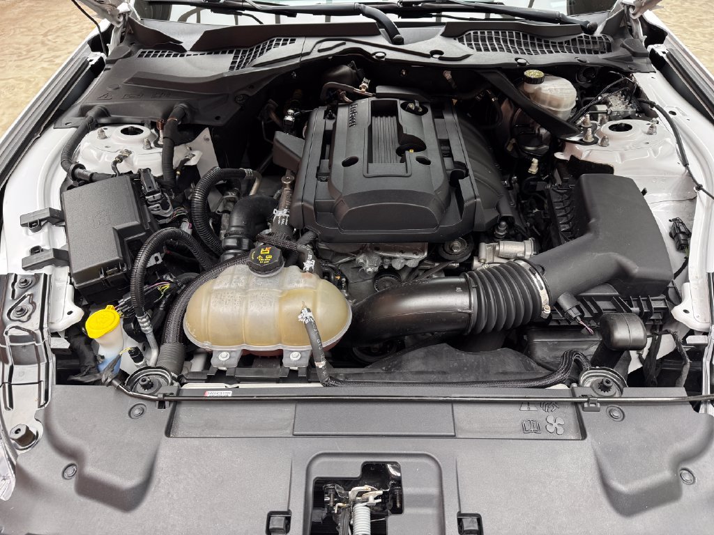 Certified 2019 Ford Mustang Convertible RWD image 26
