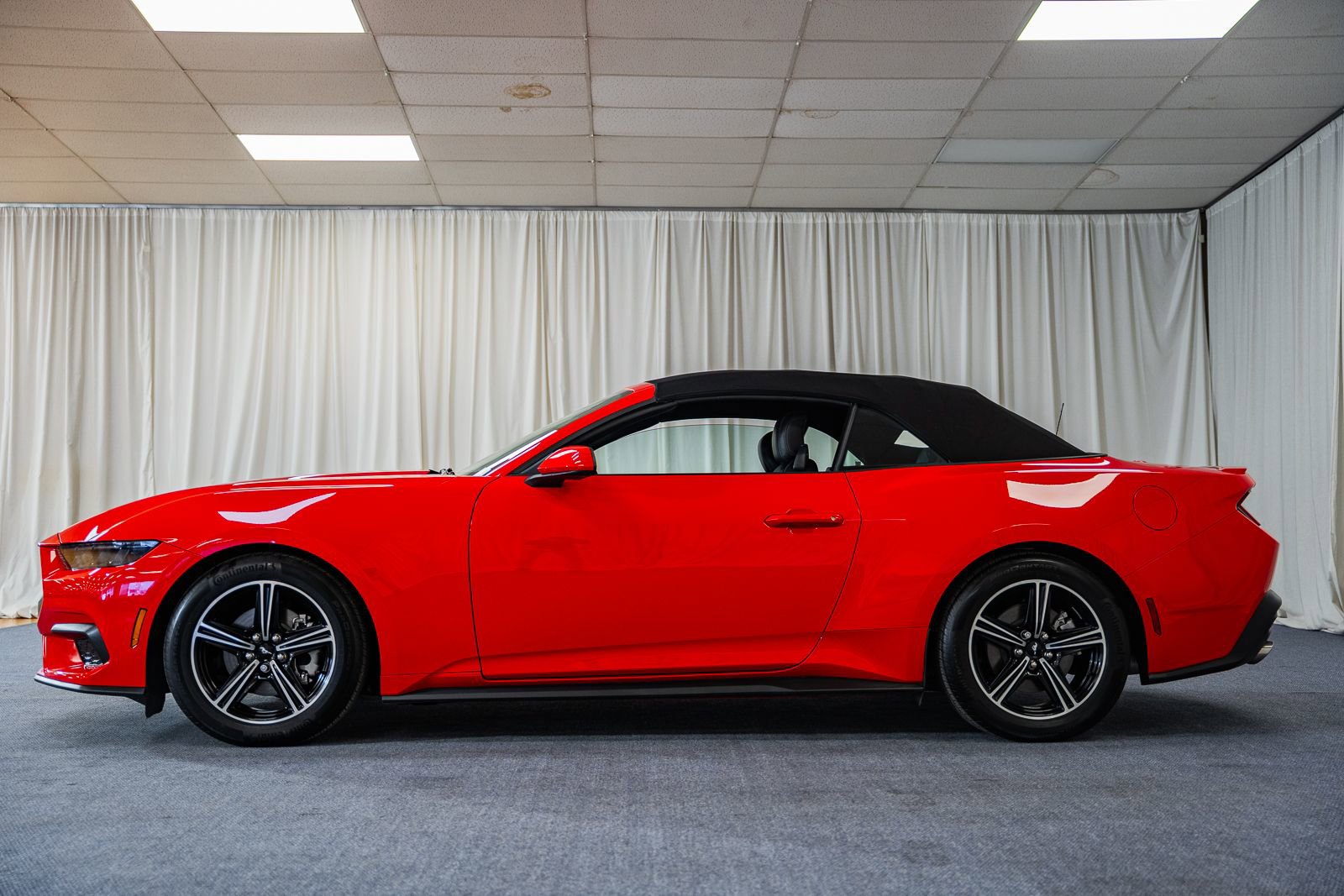 Certified 2025 Ford Mustang Premium image 5