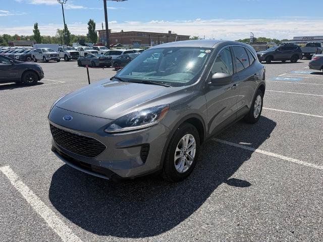 Certified 2022 Ford Escape SE w/ Convenience Package AWD/4WD image 4