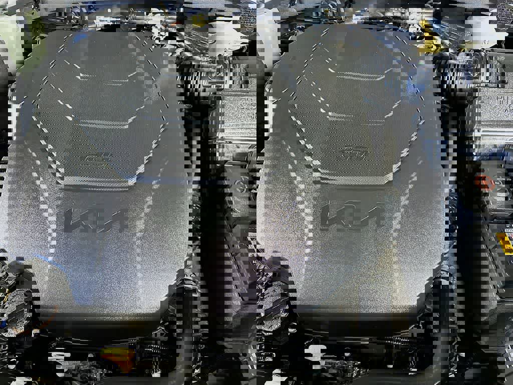 Used 2024 Kia Telluride SX Prestige X-Line image 8