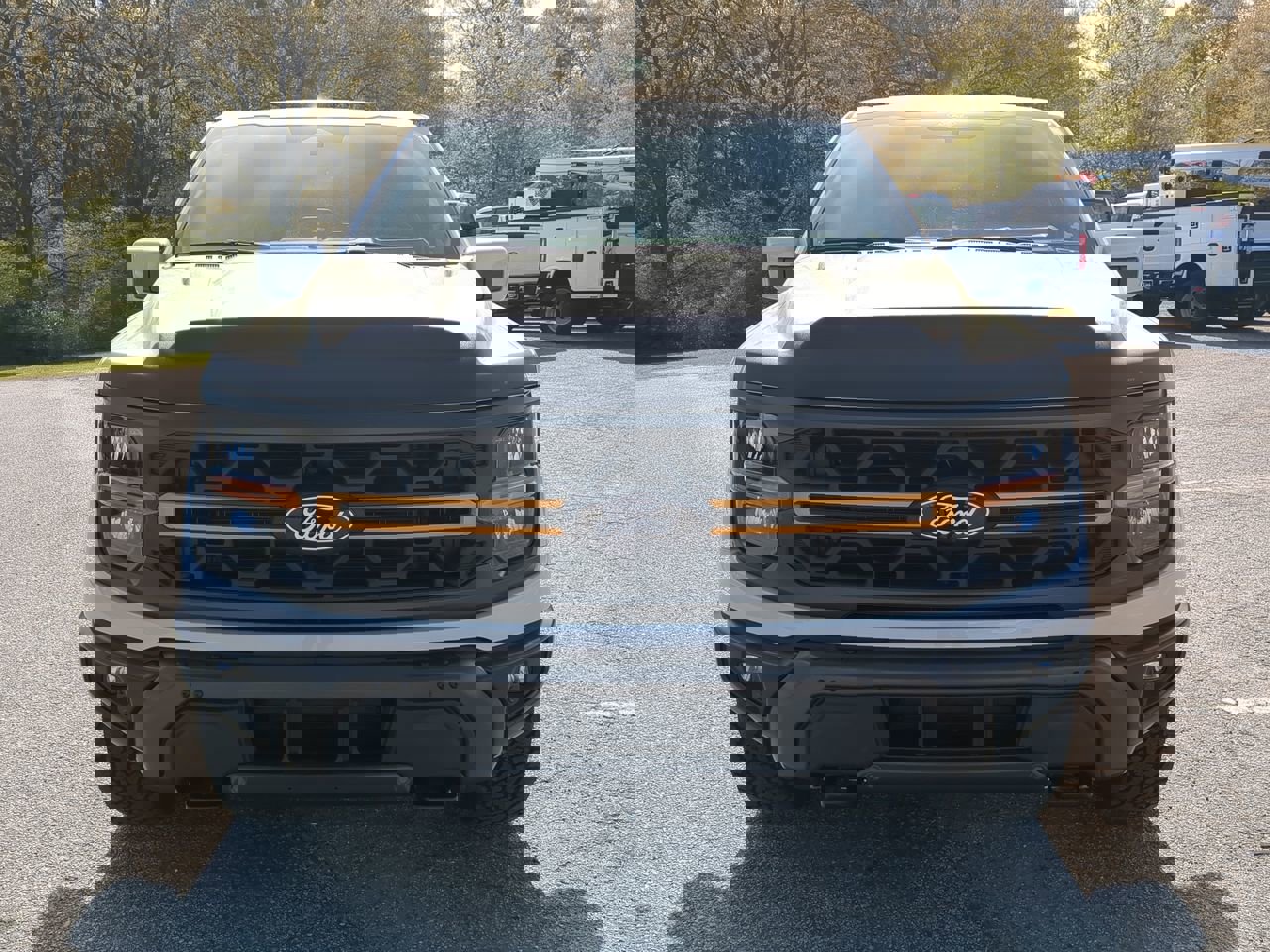 Certified 2025 Ford F150 Tremor w/ Equipment Group 402A High image 7