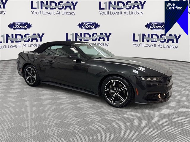 Certified 2024 Ford Mustang Premium image 1