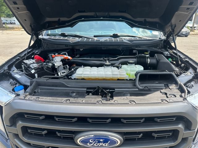 Certified 2023 Ford F150 XLT w/ Equipment Group 302A High AWD/4WD image 20