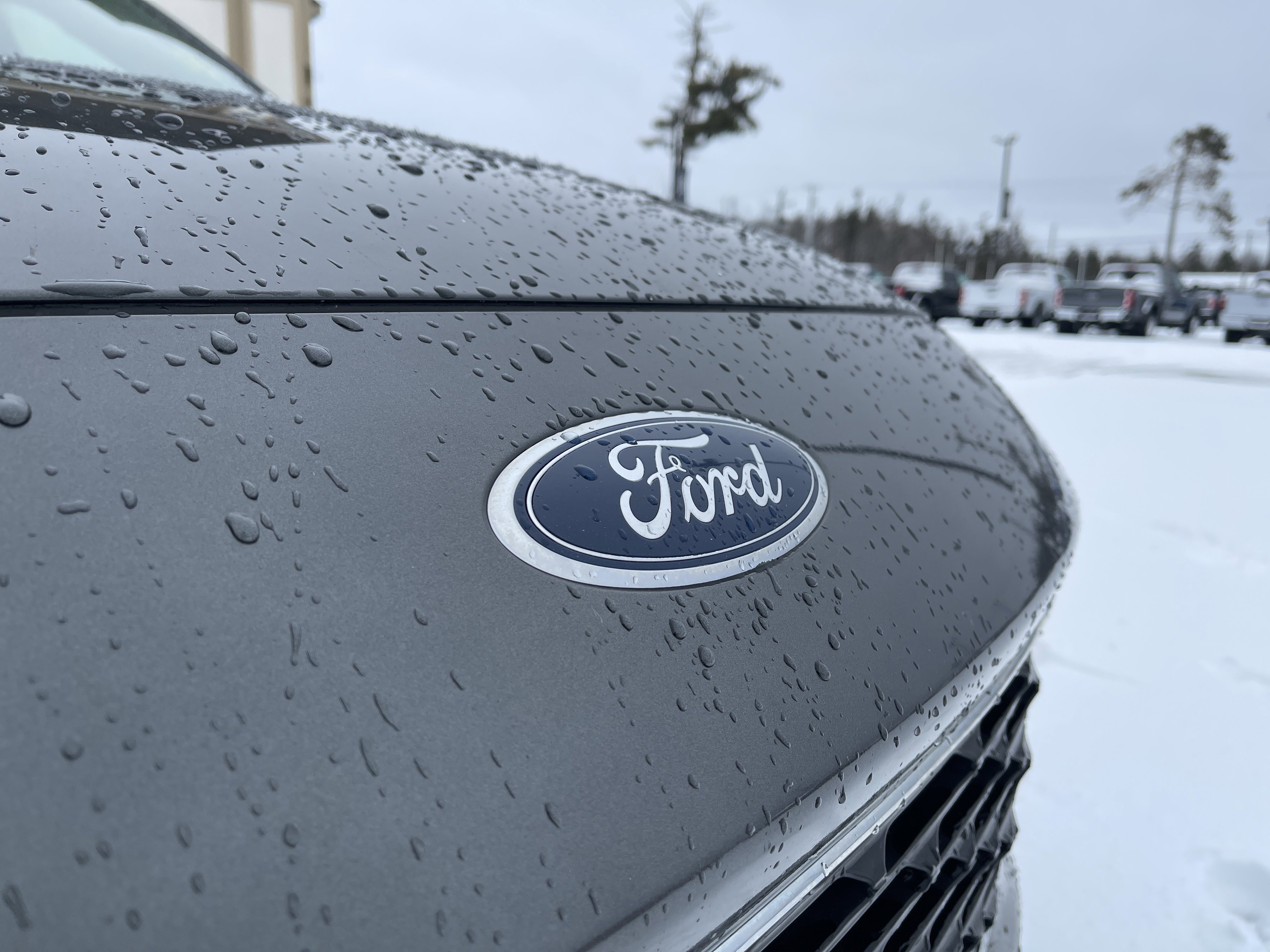 Certified 2020 Ford Escape SEL image 26