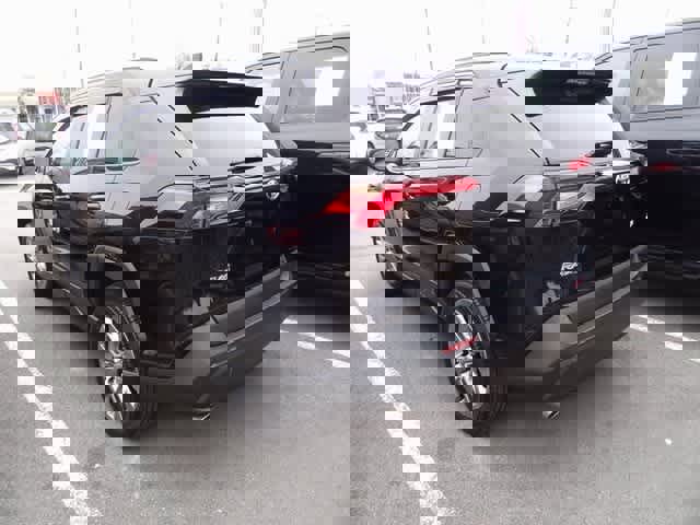 Used 2023 Toyota RAV4 XLE Premium image 4