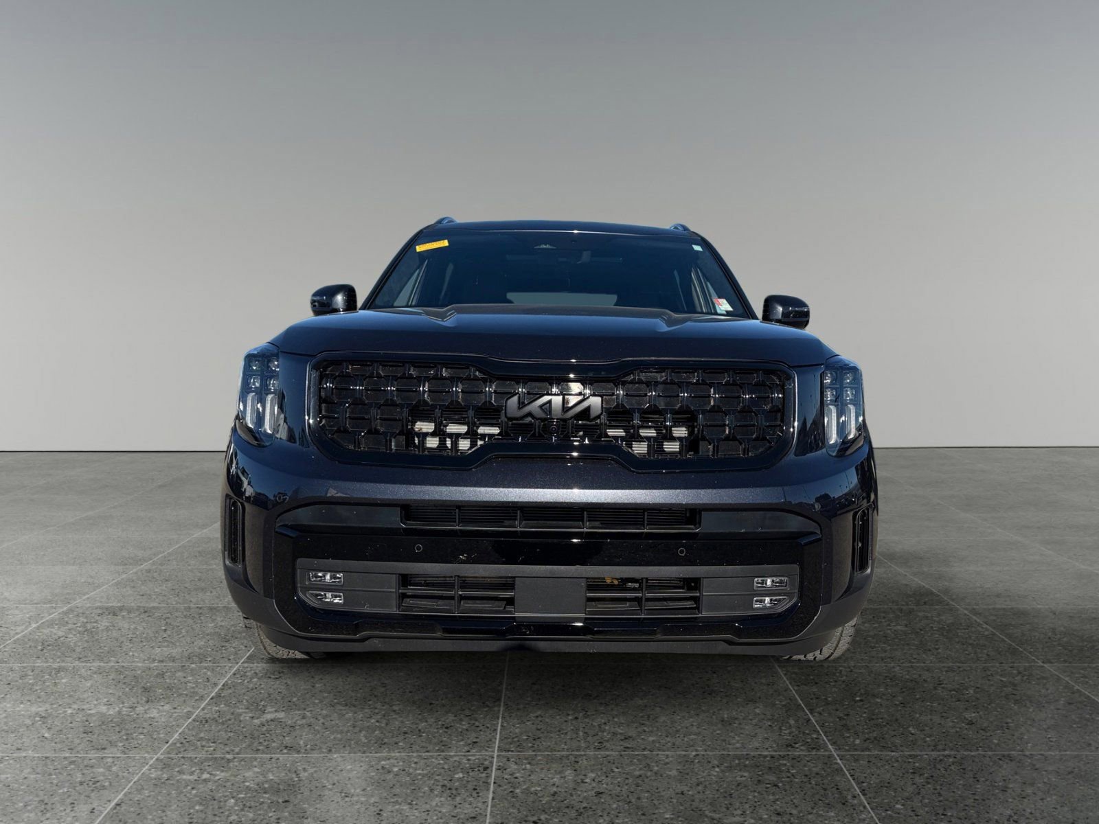 Used 2025 Kia Telluride SX Prestige X-Pro image 8