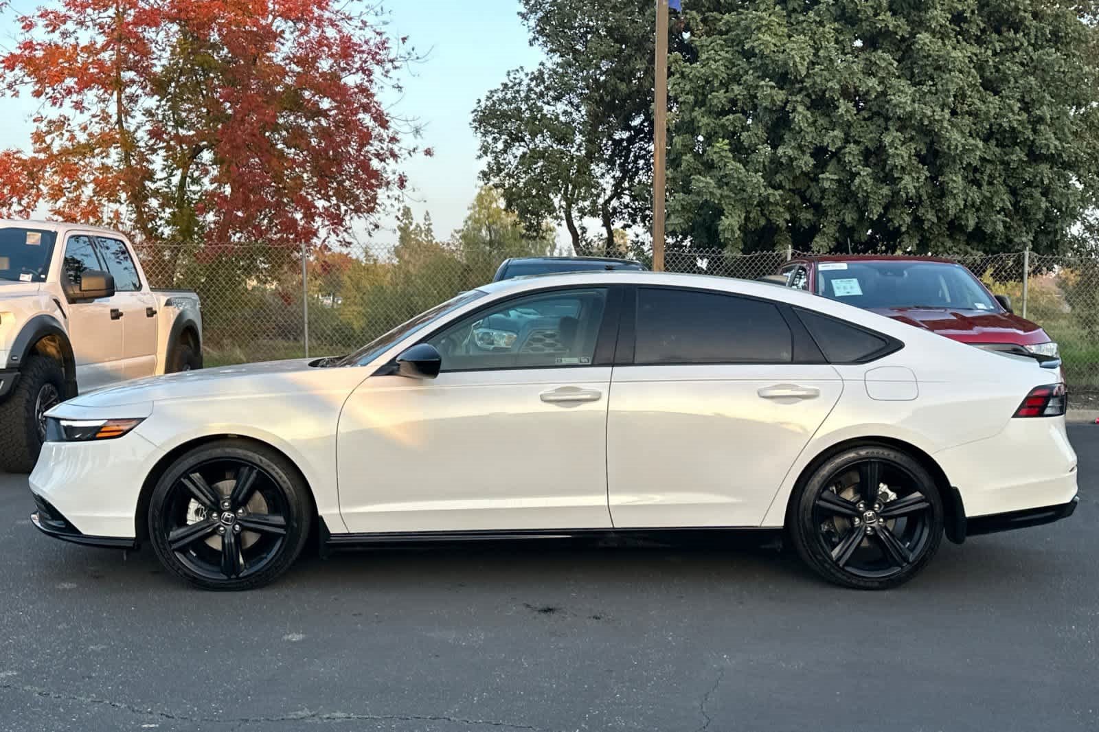 Used 2024 Honda Accord Sport image 6