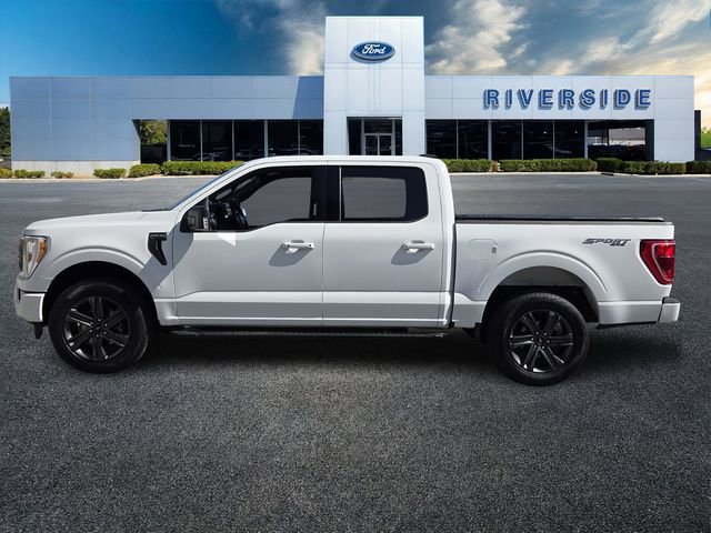 Certified 2023 Ford F150 XLT w/ Equipment Group 302A High AWD/4WD image 4