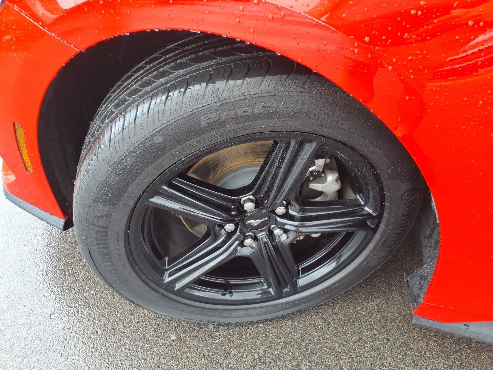 Certified 2026 Ford Mustang Premium RWD image 9