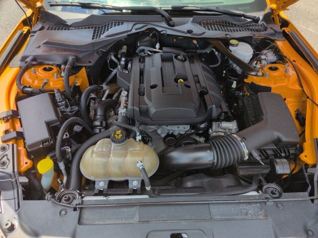 Certified 2019 Ford Mustang Premium w/ Equipment Group 201A RWD image 37